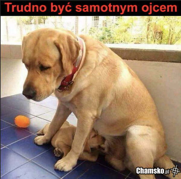 Samotny ojciec
