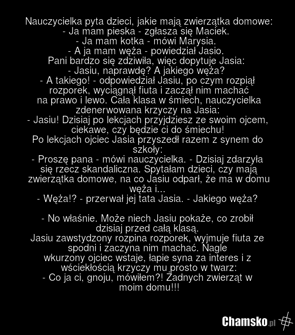 Zwierzaki domowe