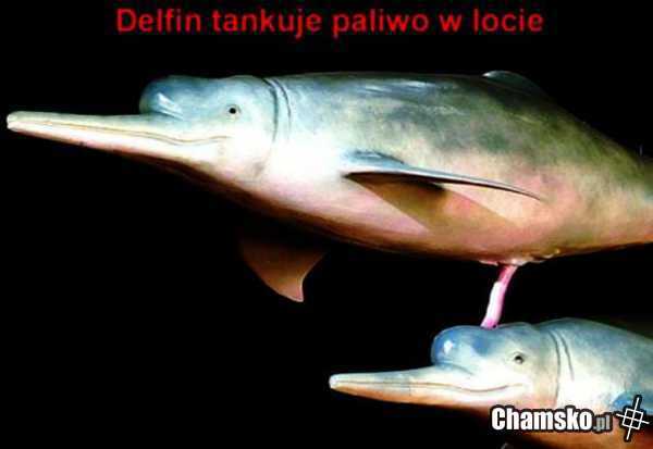 Tankowanie