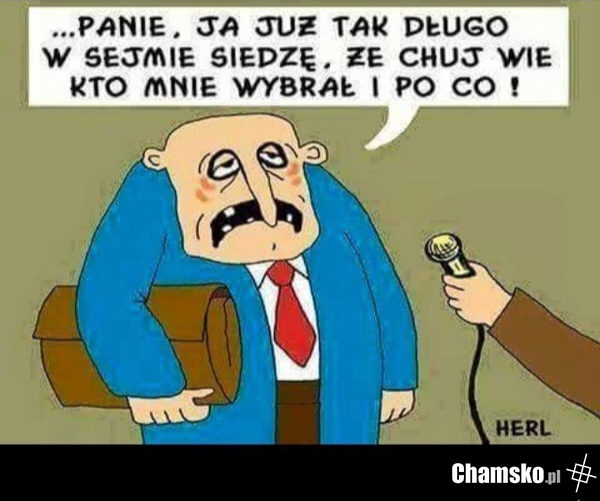Typowy polityk