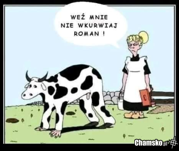 Krowa