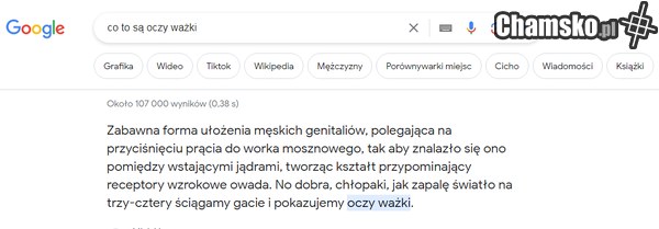 podpowiedzi google.pl