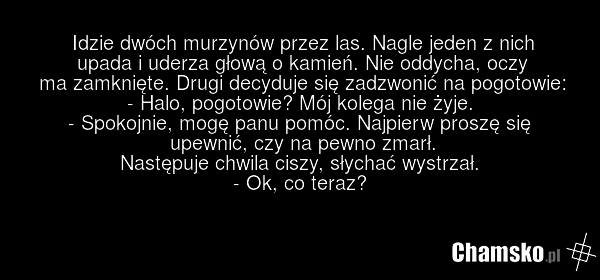 Wypadek w lesie