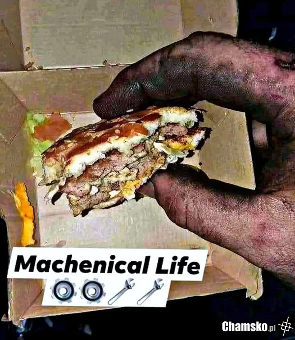 Burger palce lizać
