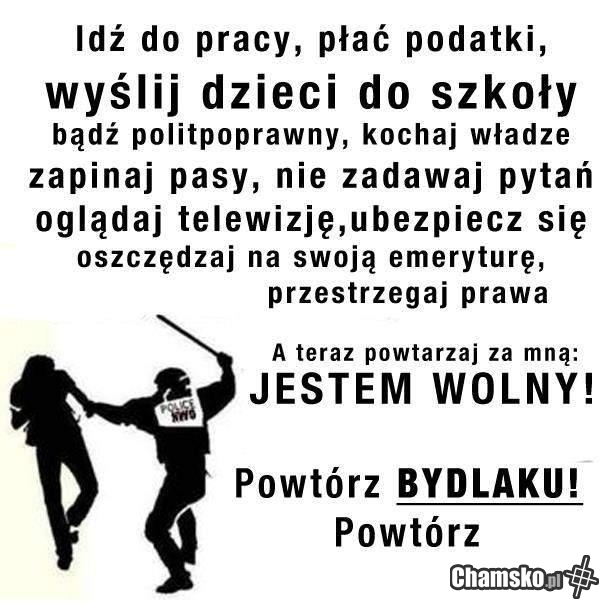 Jesteś wolny, śmieciu. A jak uważasz inaczej to wpierdol!