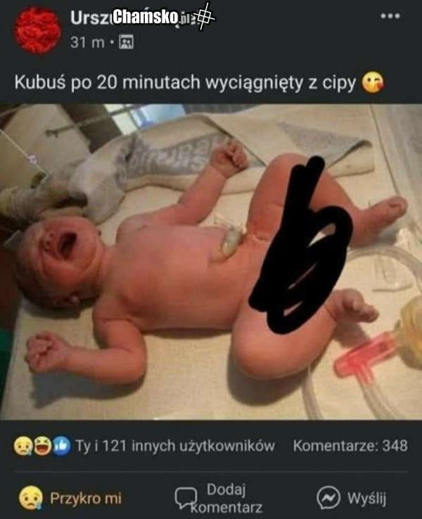 Kubuś
