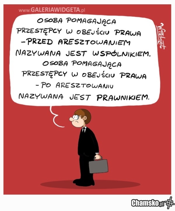 Prawnicy...