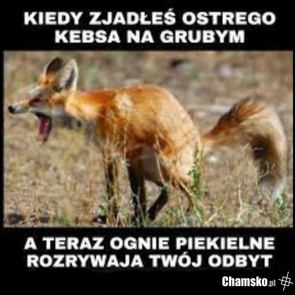 Piecze 2 razy...