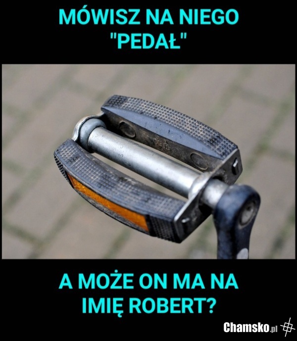 Pedałek