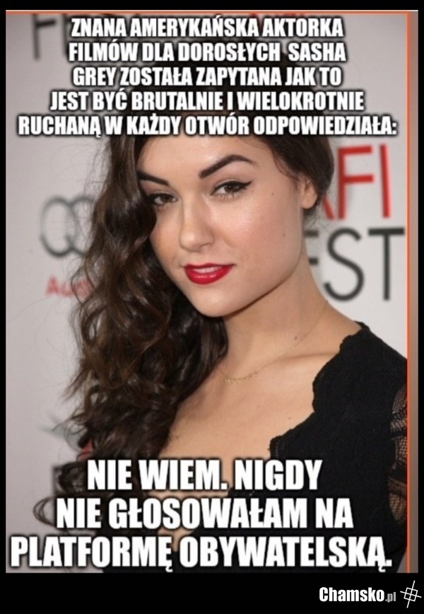 Szara Sasza