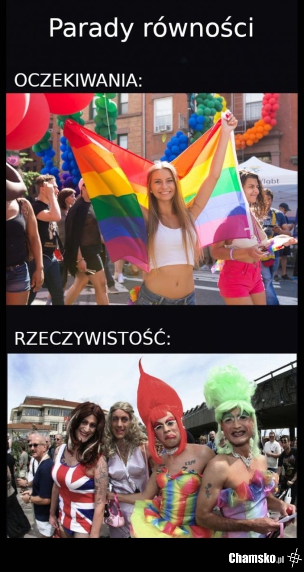 Pedryle