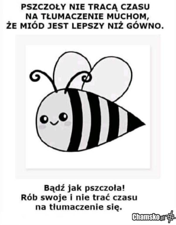 Pszczoła