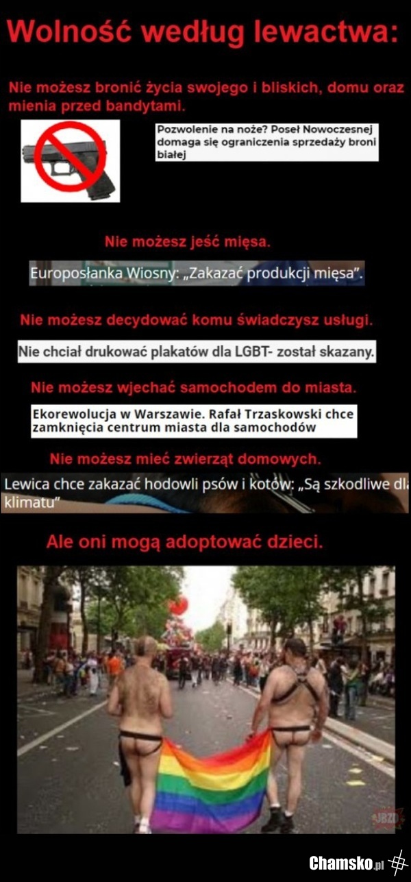 Logika lewizny