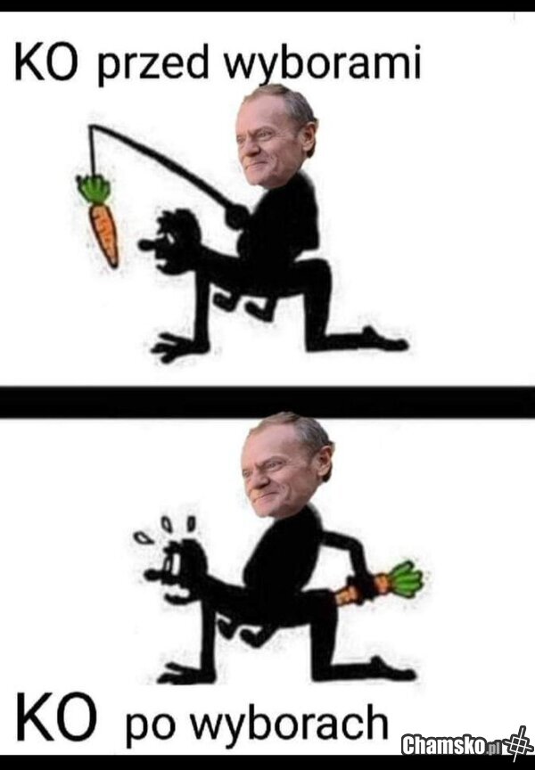 Kto by się spodziewał...