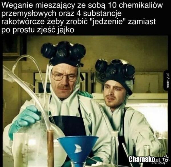 Taki obraz ich.