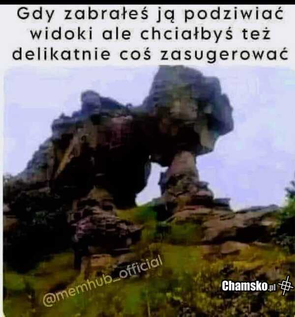 Znaki