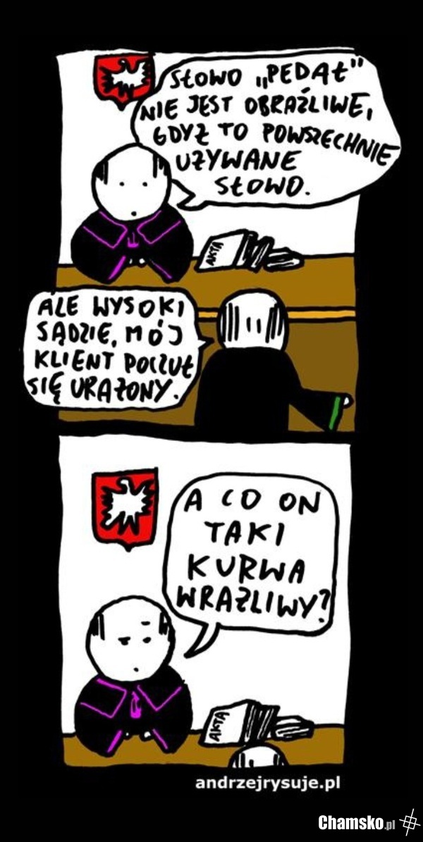 Sędzia nie jest gay-friendly...