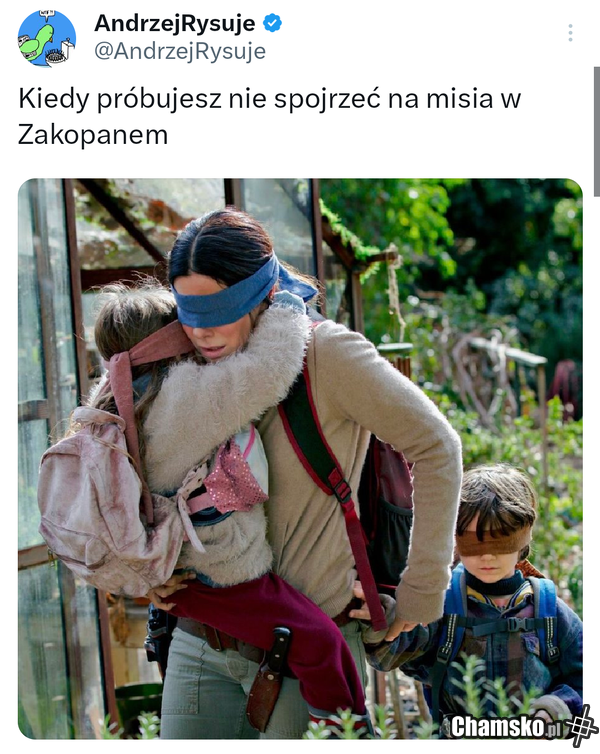 Miś