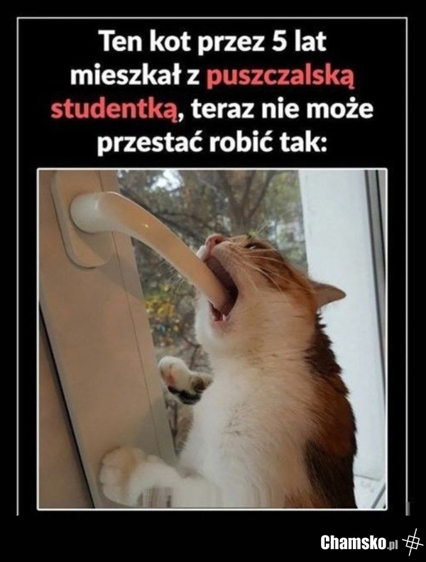 Ciężkie jest życie ze studentkami...