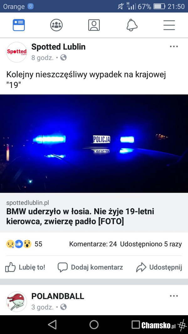 Zwierzę z BMW
