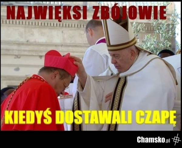 Pajac ryś