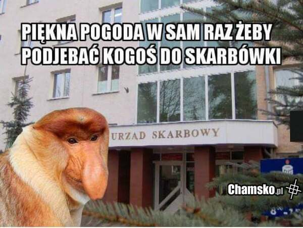Ładna pogoda