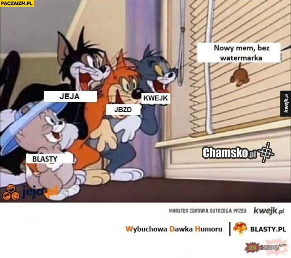 xdd