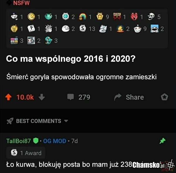 Z twarzy podobni