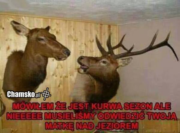 Sezon