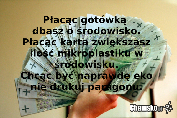 Gotóweczka jest eko