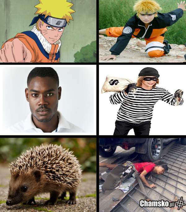 Jeżyk