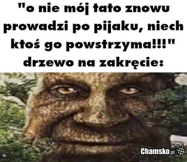 Jazda po alko