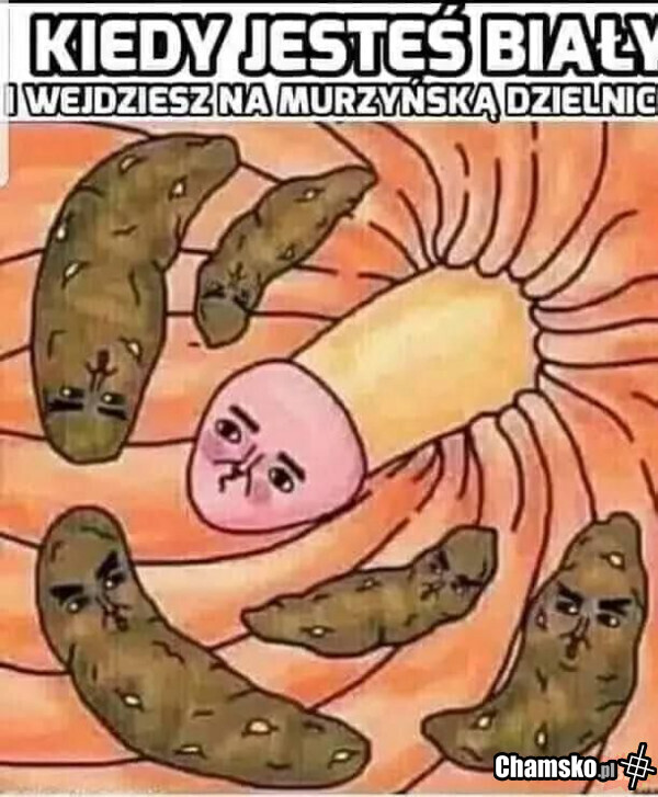 Murzyńska dzielnica