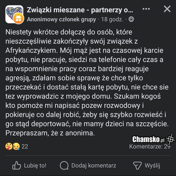 No niesamowite...