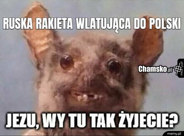 Bez tytułu