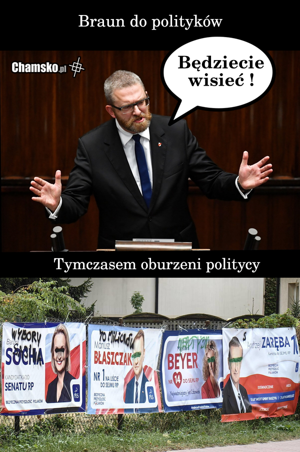 Proroctwo Brauna