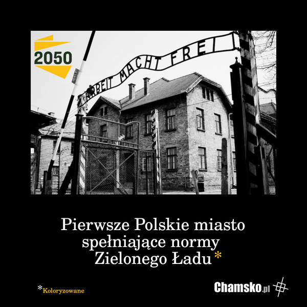 Polska 2050