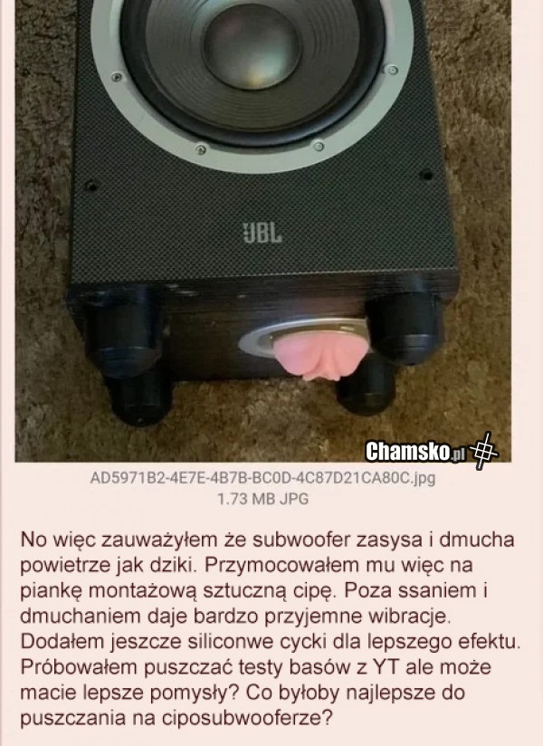 Szukam fajnej muzy