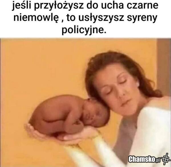 Czarna muszelka