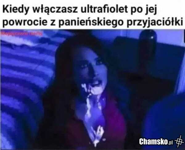 Powrót do domu