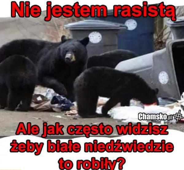 Niedźwiedzie