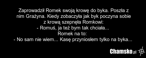 Zaprowadził Romek swoją krowę do byka. Poszła z nim Grażyna. Kiedy zobaczyła jak byk poczyna sobie z krową szepnęła Romkowi: - Romuś, ja też bym tak chciała... Romek na to: - No sam nie wiem... Kasę przyniosłem tylko na byka...