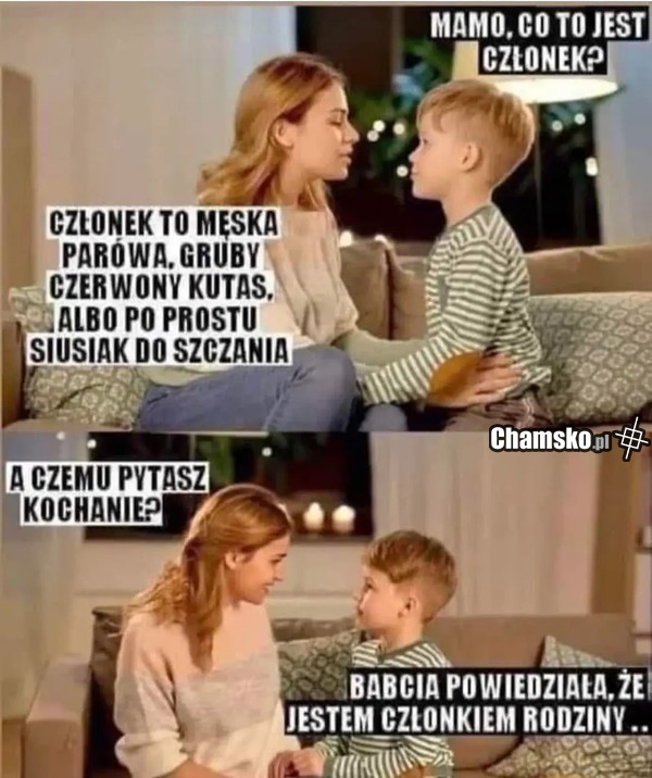 Członek