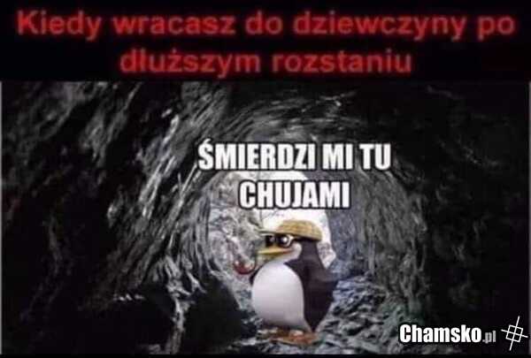 Podejrzane