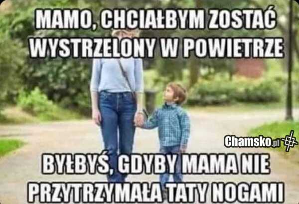 Wytrzał