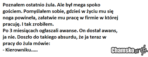 w Zambrowie