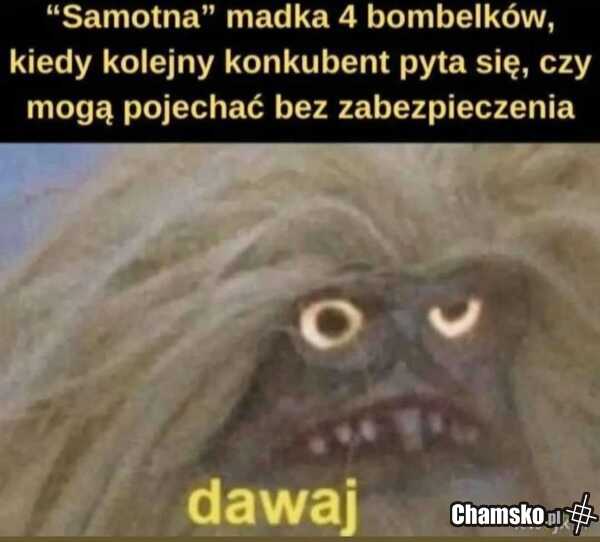 Dawaj!