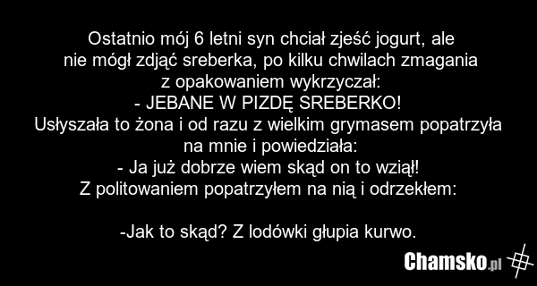 Ostatnio mój 6 letni syn chciał zjeść jogurt, ale nie mógł zdjąć sreberka, po kilku chwilach zmagania z opakowaniem wykrzyczał: - JEBANE W PIZDĘ SREBERKO! Usłyszała to żona i od razu z wielkim grymasem popatrzyła na mnie i powiedziała: - Ja już dobrze wiem skąd on to wziął! Z politowaniem popatrzył…