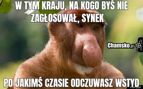 Wybierajta
