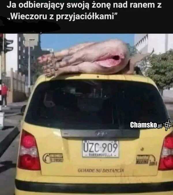 Powrót do domu